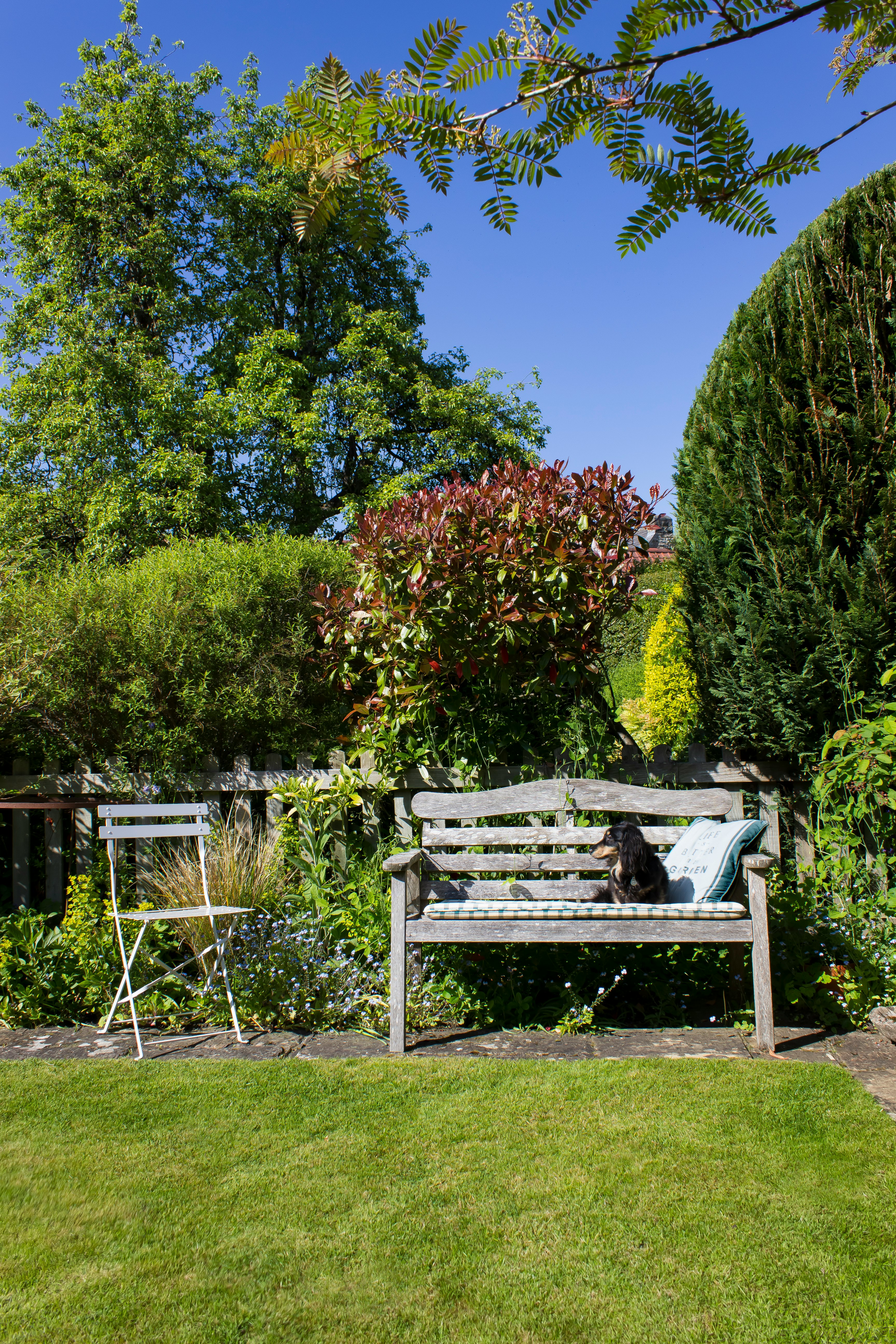 white wooden bench near green trees during daytime